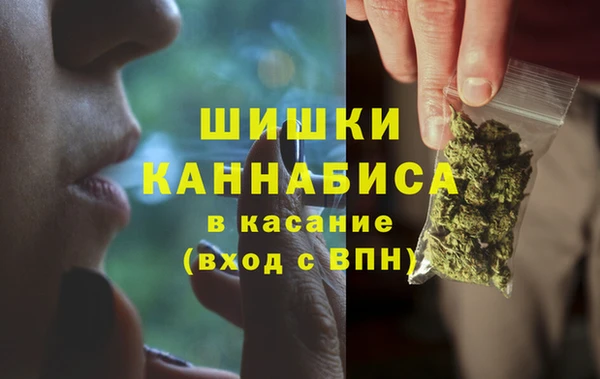 дурь Осташков