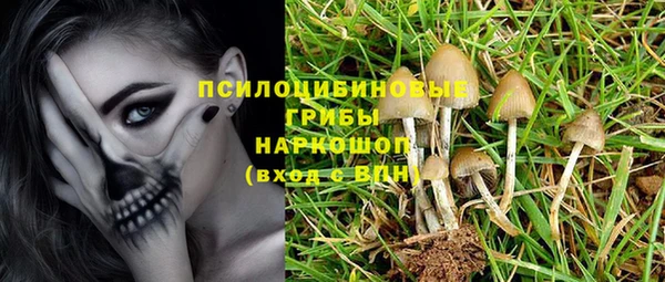 дурь Осташков