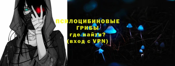 дурь Осташков