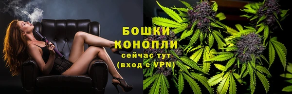 apvp Пестово